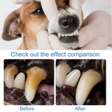 Pet Tartar Remover Removing Dental Calculus Bad Breath Yellow Teeth