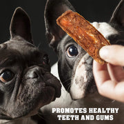 Chicken Jerky Dog Treats 1.5 Lb Human Grade Pet Snacks Grain Free Organic Meat All Natural High Protein Dried Strips Best Chews For Training Small & Large Dogs