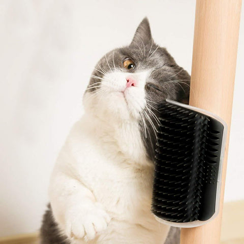 Cat Self Groomer Arch  Self Cleaning Slicker Brush