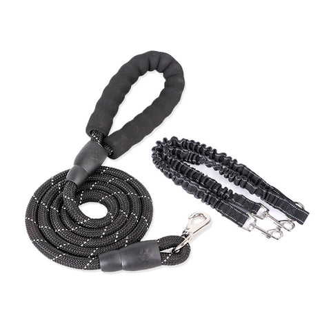Dogs With One Tow Two Leashes Pets Double Heads