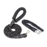 Dogs With One Tow Two Leashes Pets Double Heads