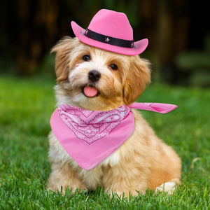 Cat Cowboy Costume Cat Cowboy Hat And Bandana Set Cat Halloween Costumes Cowboy Cat Pet Costume Funny Halloween Costumes For Cats Kittens Pets