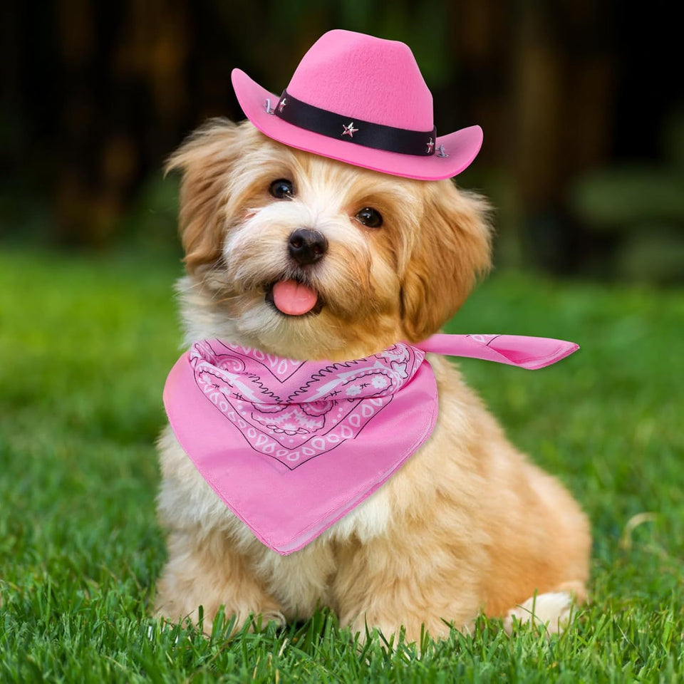 Cat Cowboy Costume Cat Cowboy Hat And Bandana Set Cat Halloween Costumes Cowboy Cat Pet Costume Funny Halloween Costumes For Cats Kittens Pets
